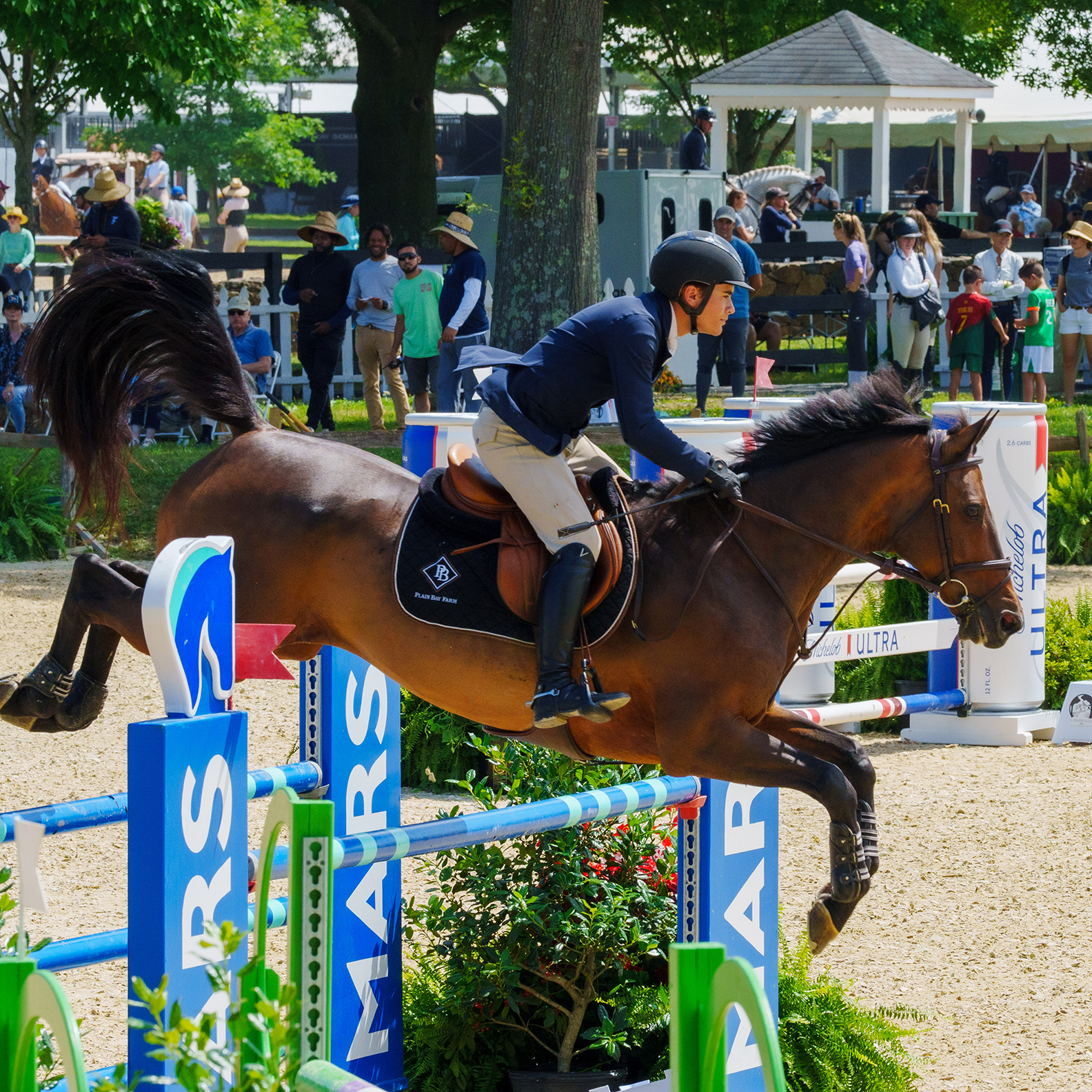 Upperville Colt & Horse Show 2024